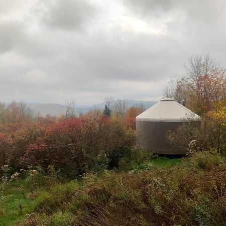 Livingston Manor Yurt Hotel Parksville Ngoại thất bức ảnh
