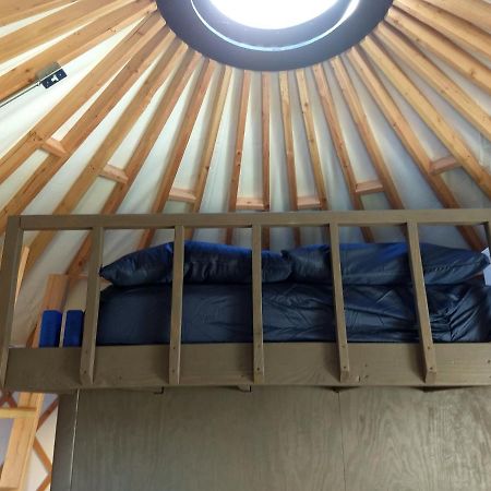 Livingston Manor Yurt Hotel Parksville Ngoại thất bức ảnh