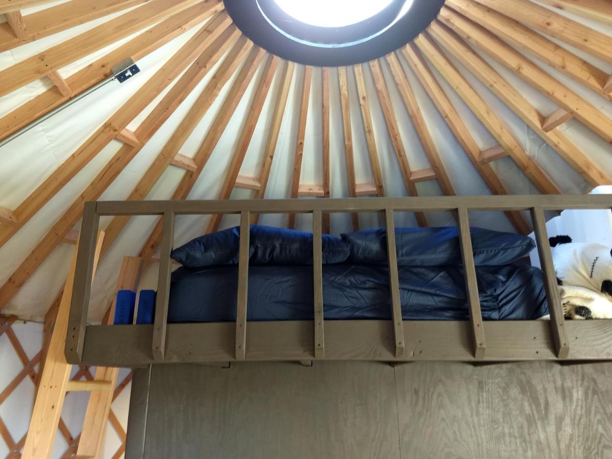 Livingston Manor Yurt Hotel Parksville Ngoại thất bức ảnh