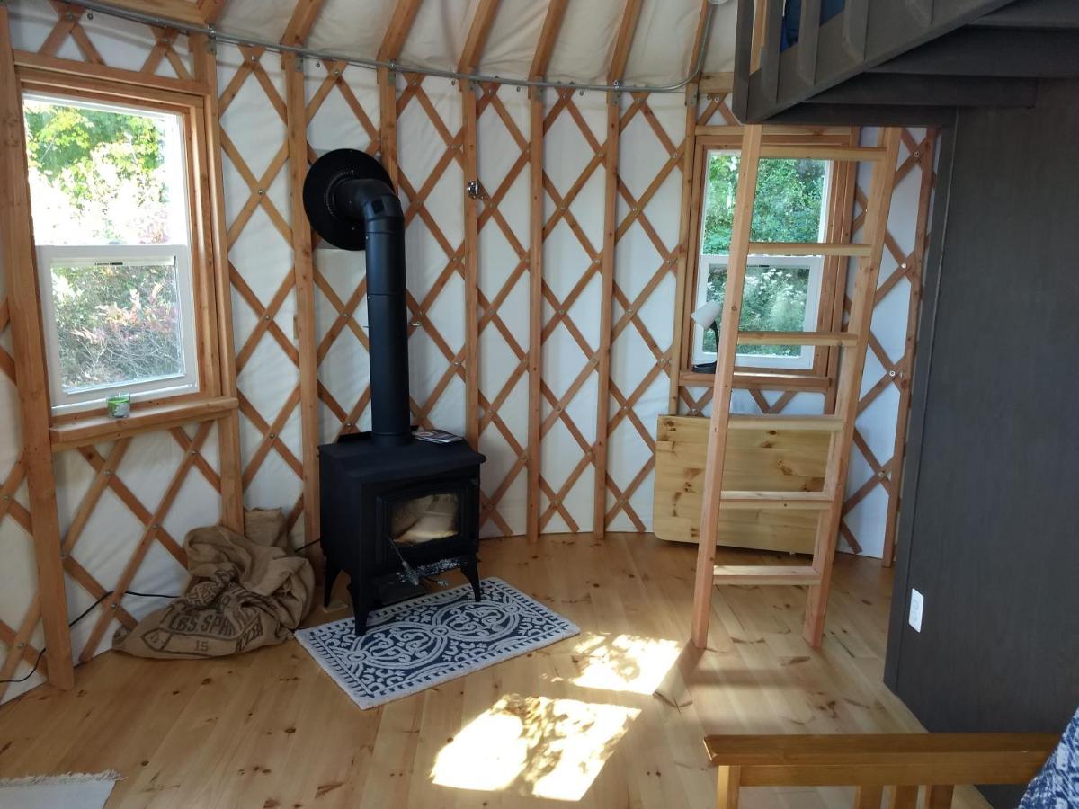Livingston Manor Yurt Hotel Parksville Ngoại thất bức ảnh