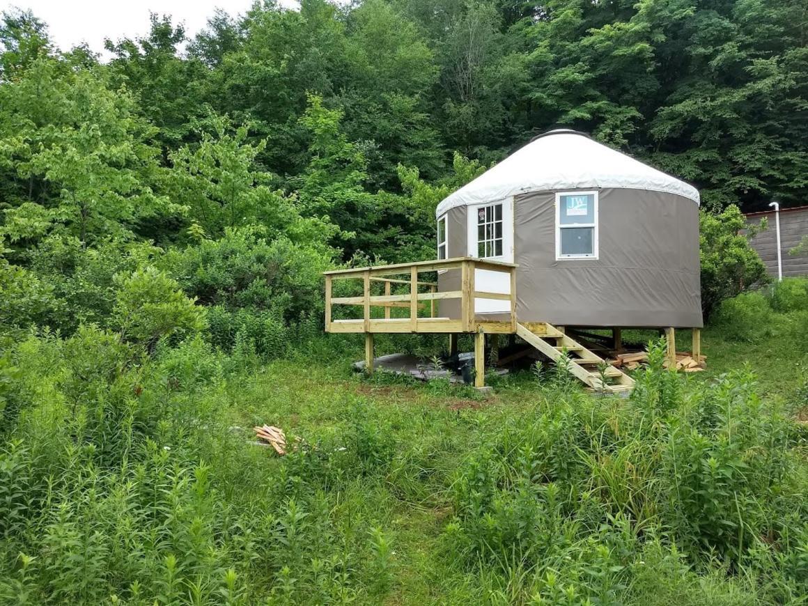 Livingston Manor Yurt Hotel Parksville Ngoại thất bức ảnh